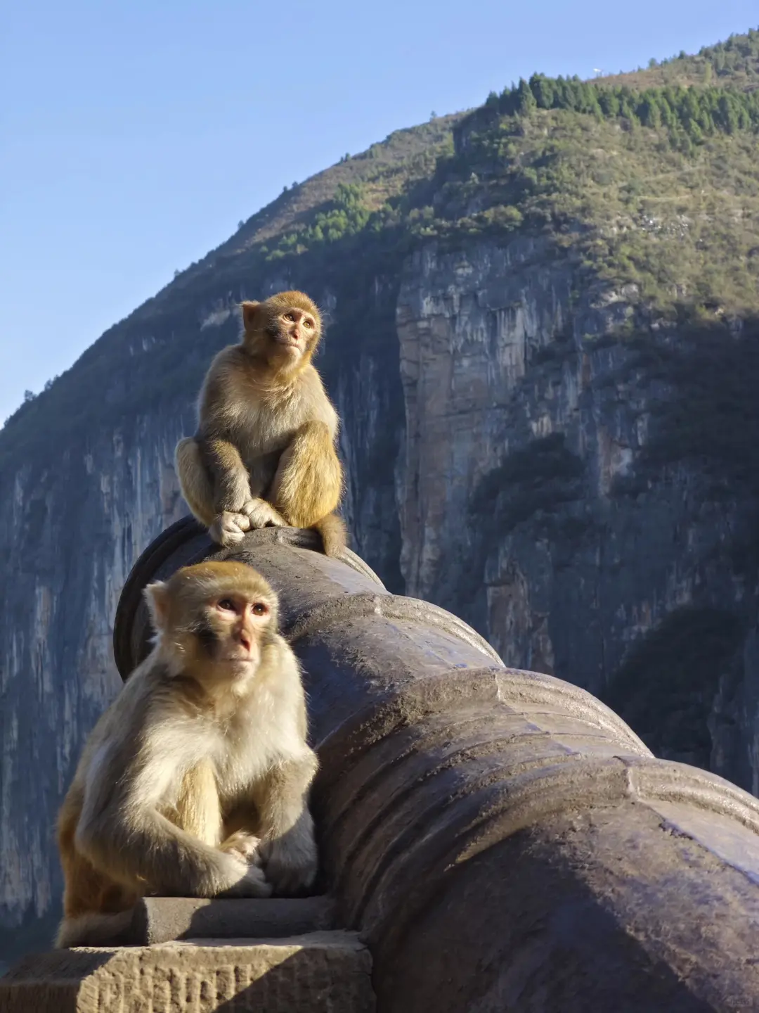 重庆任何地方景区都不如奉节三峡之巅