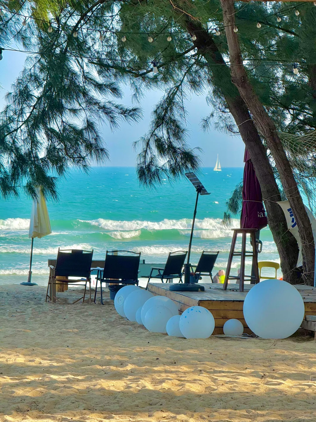 清水湾⛱️最佳打卡旅游路线攻略