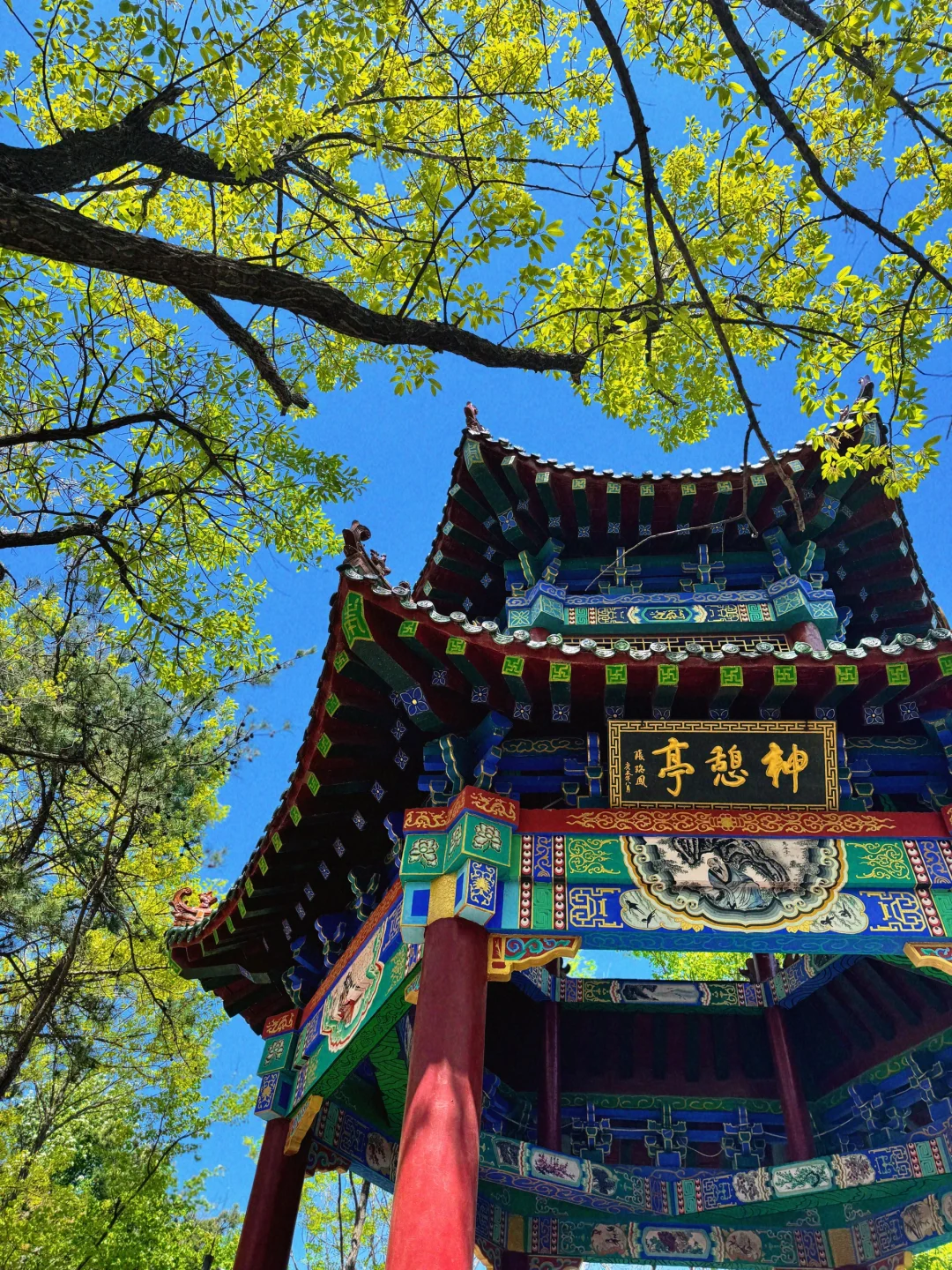 ⛰️假期一定要来一次云蒙景区❗️❗️❗️