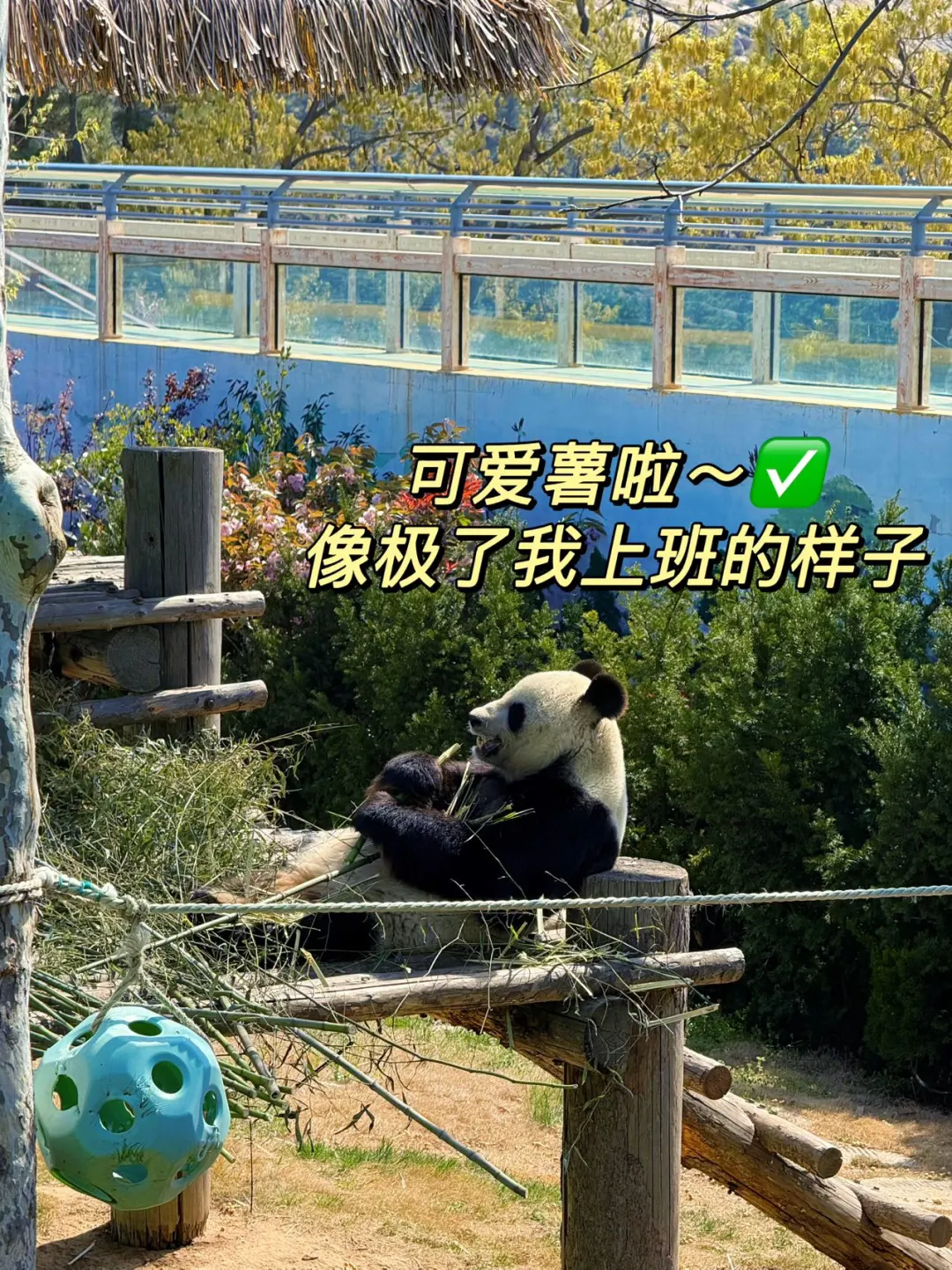 海驴岛&西霞口&成山头 | 宝藏海滨游五一✨