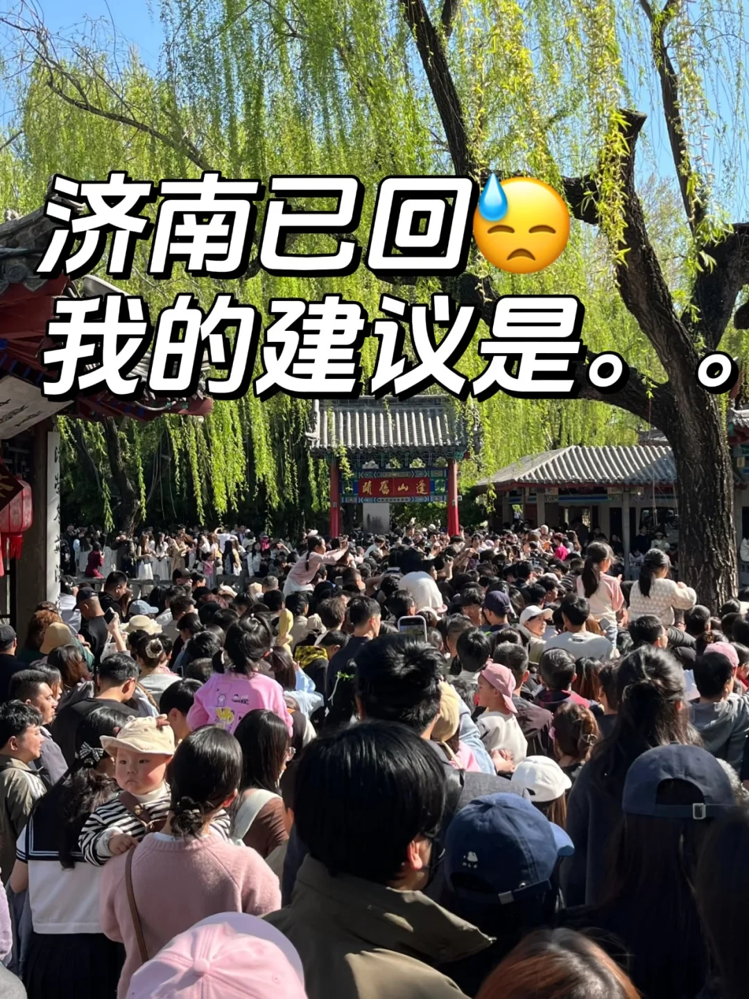 4.25济南已回😓我的真实建议是。。（附攻略）