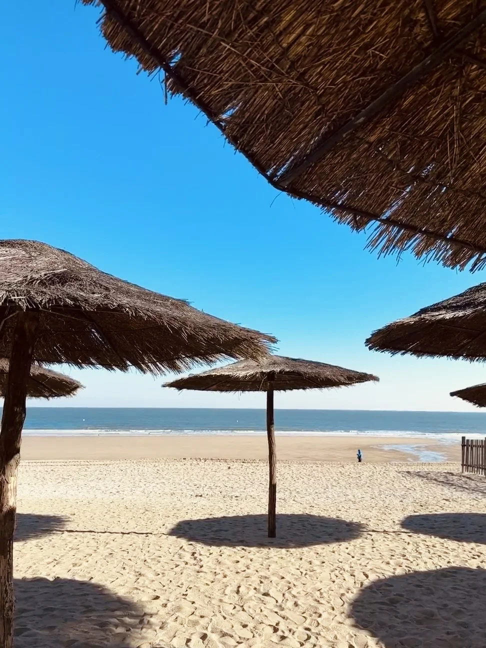 听劝👂4-5月来连云港的姐妹请🐴住❗