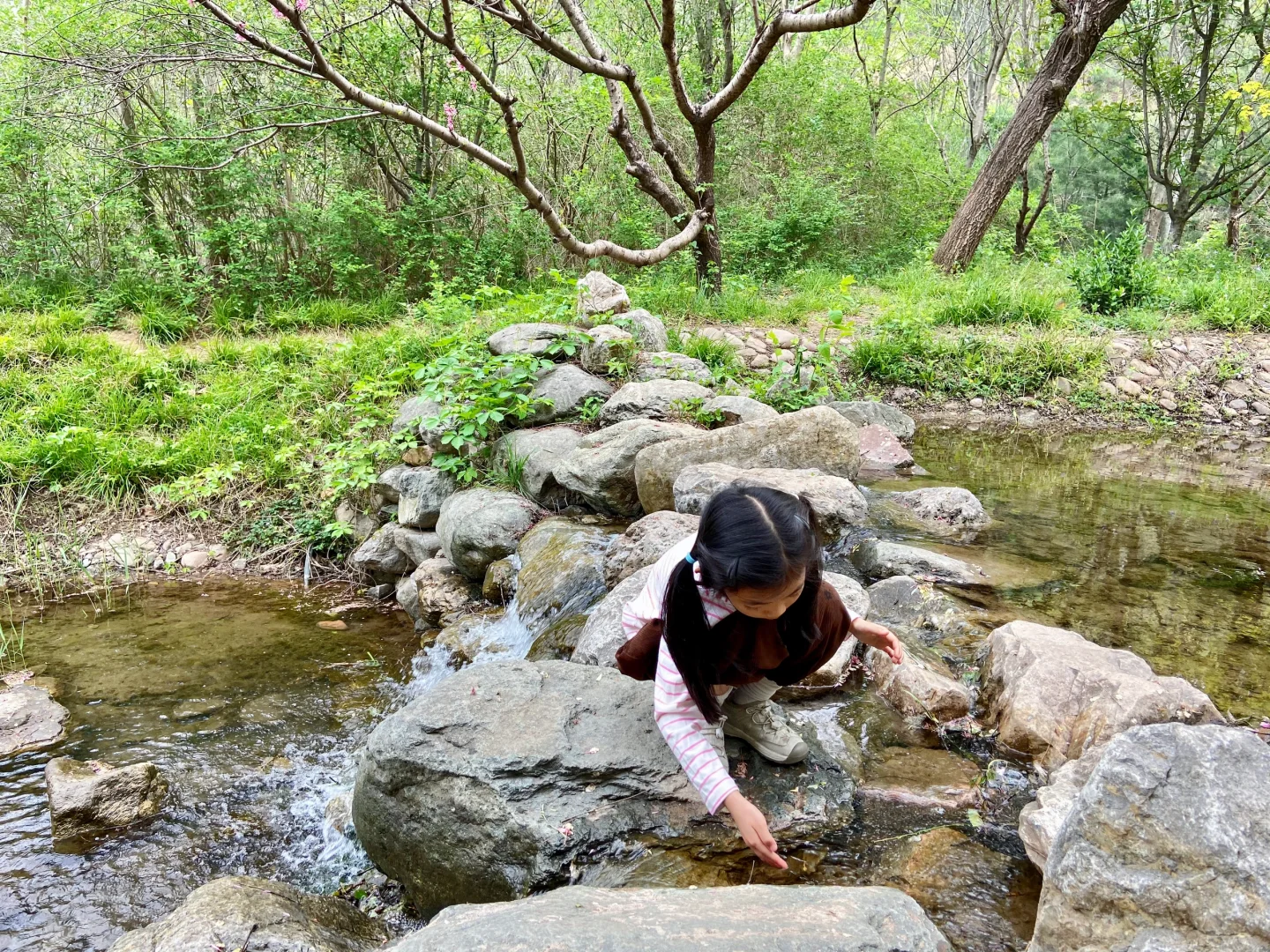 石家庄天然氧吧