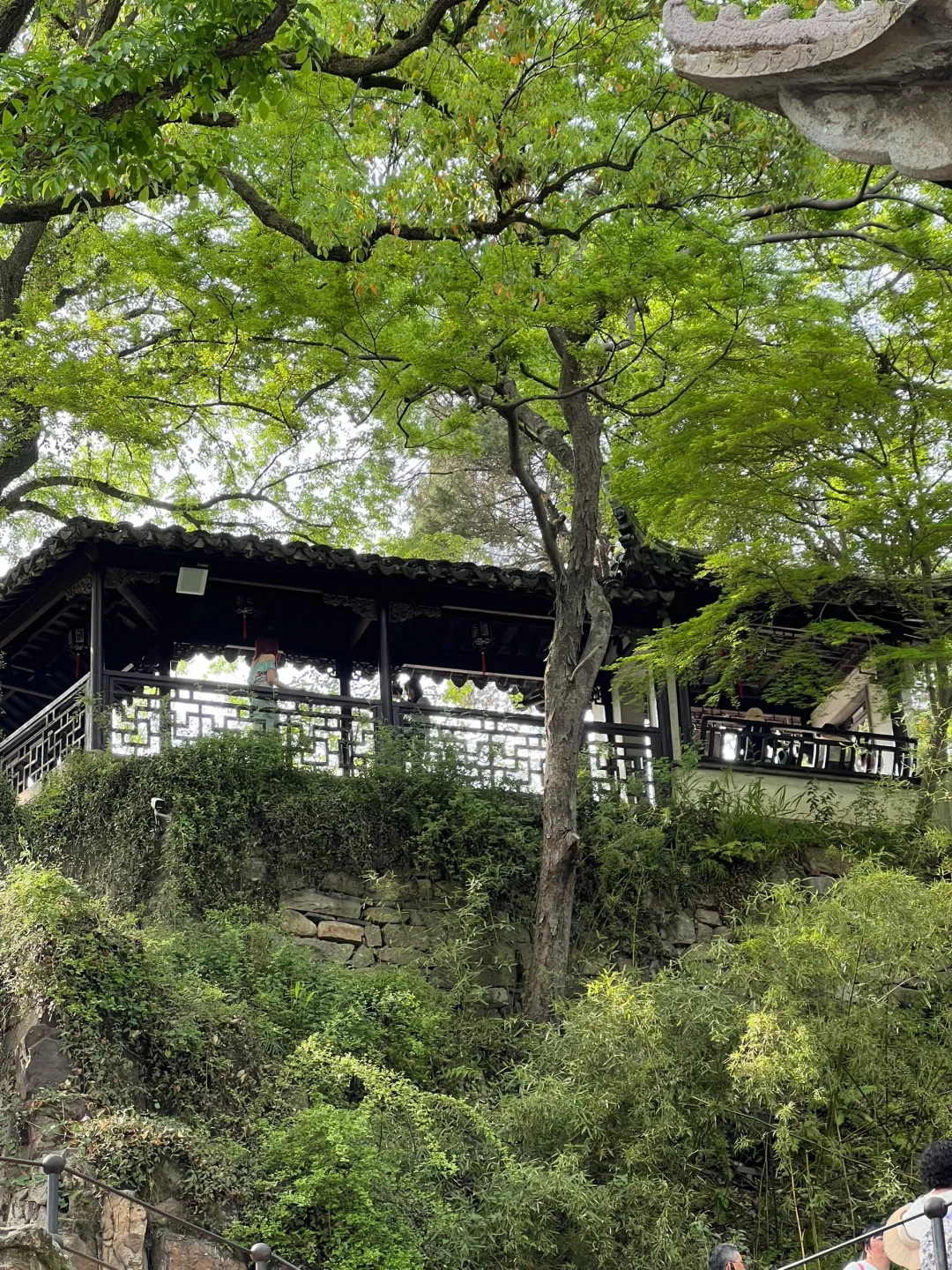 苏州虎丘风景区花朝节！保姆级攻略！！