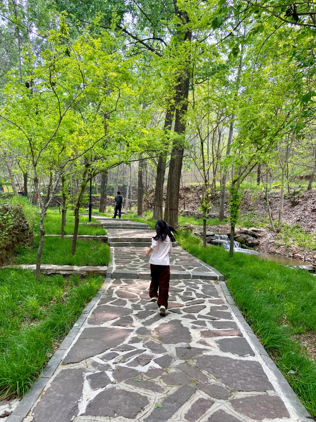 石家庄天然氧吧