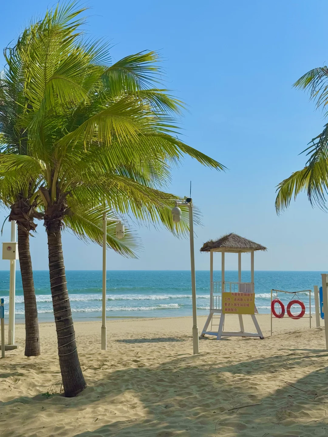 清水湾⛱️最佳打卡旅游路线攻略