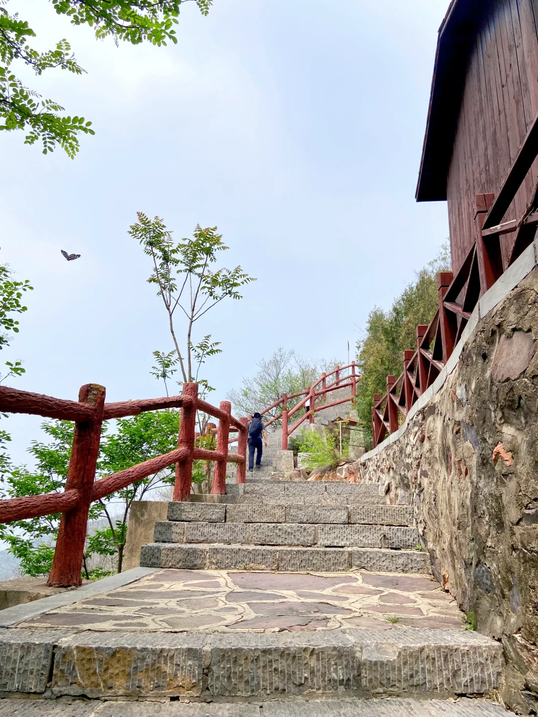 石家庄天然氧吧