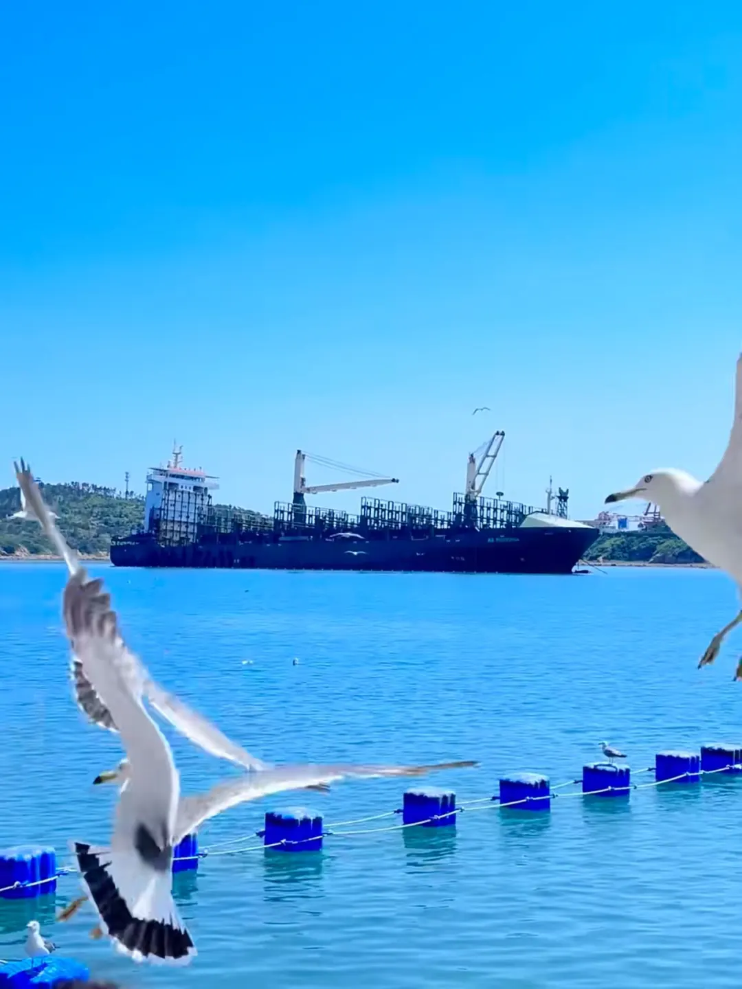 海驴岛&西霞口&成山头 | 宝藏海滨游五一✨