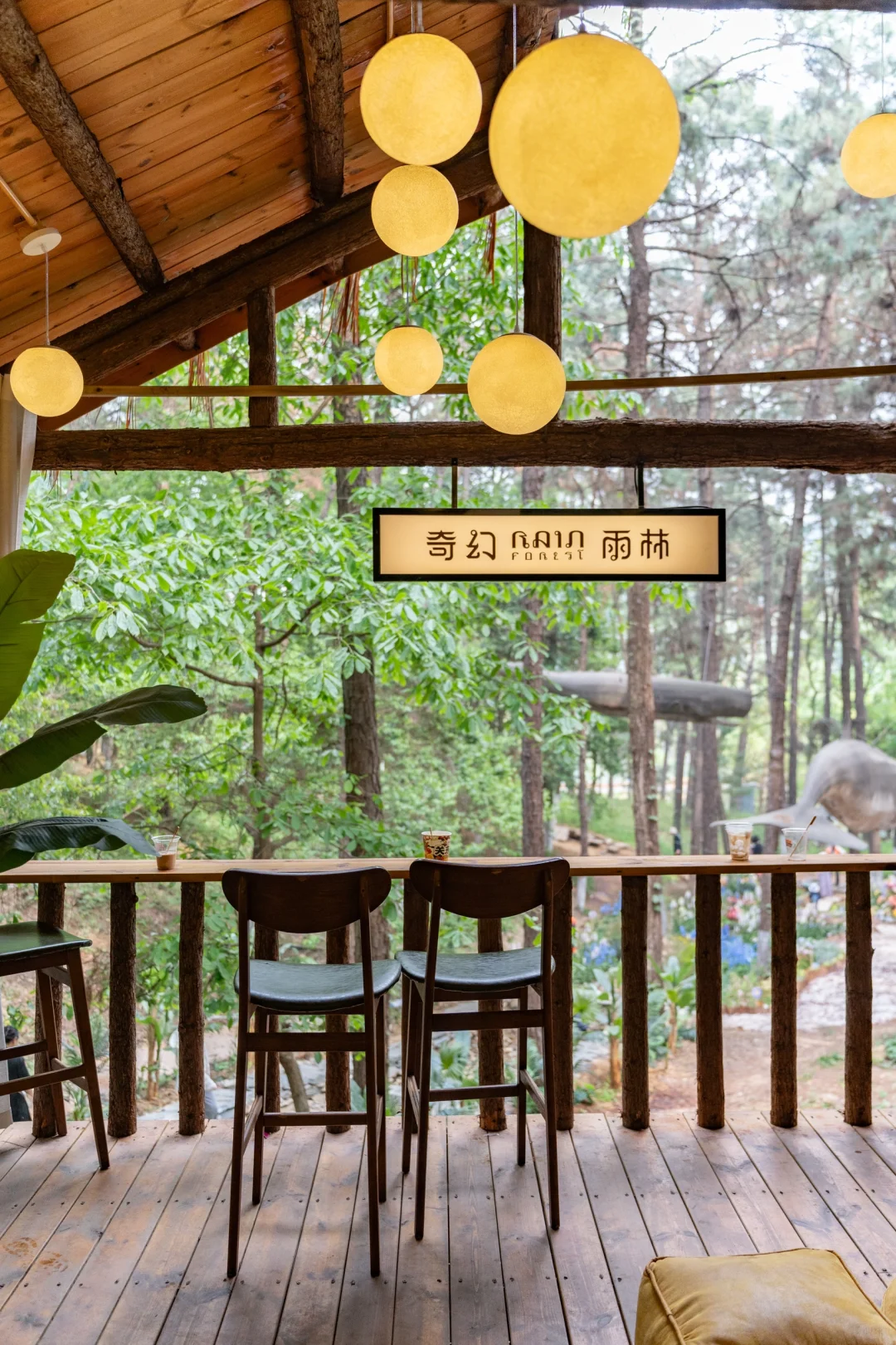 五一反向旅行｜带娃闯入热带雨林世界🌿