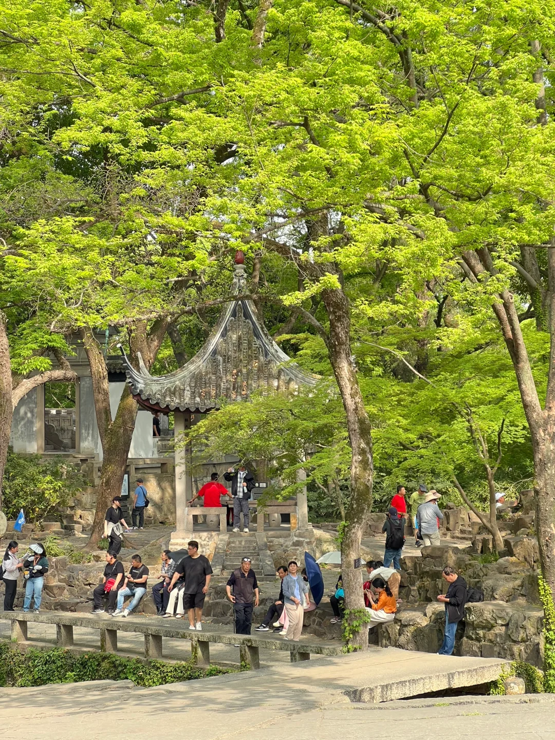 苏州虎丘风景区花朝节！保姆级攻略！！