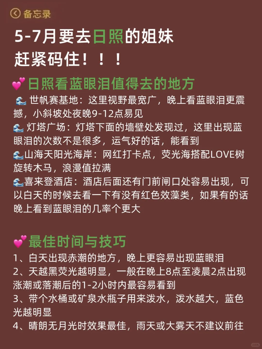 谁懂啊…被自己做的日照攻略满意得睡不着！