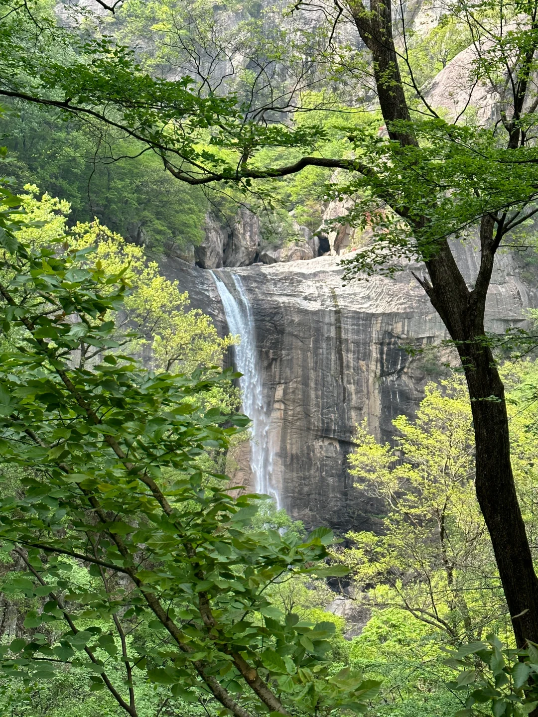 ⛰️我的梦中情山