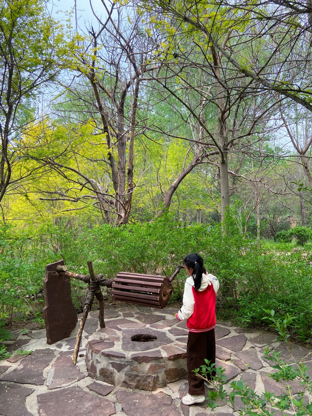 石家庄天然氧吧