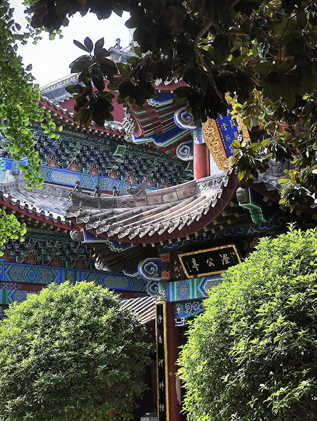 ✨邢台旅游攻略 | 探寻千年古城的魅力✨