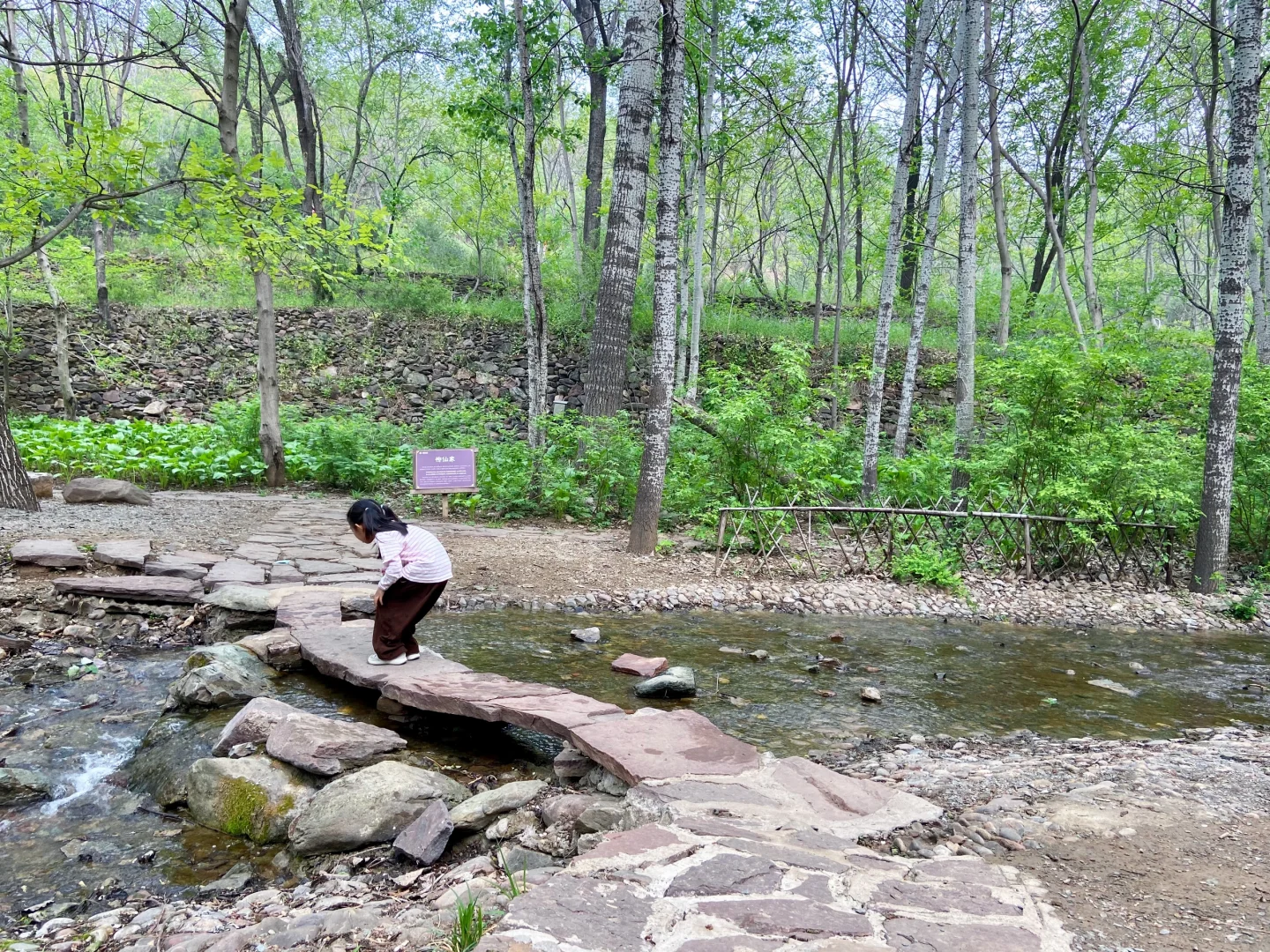 石家庄天然氧吧