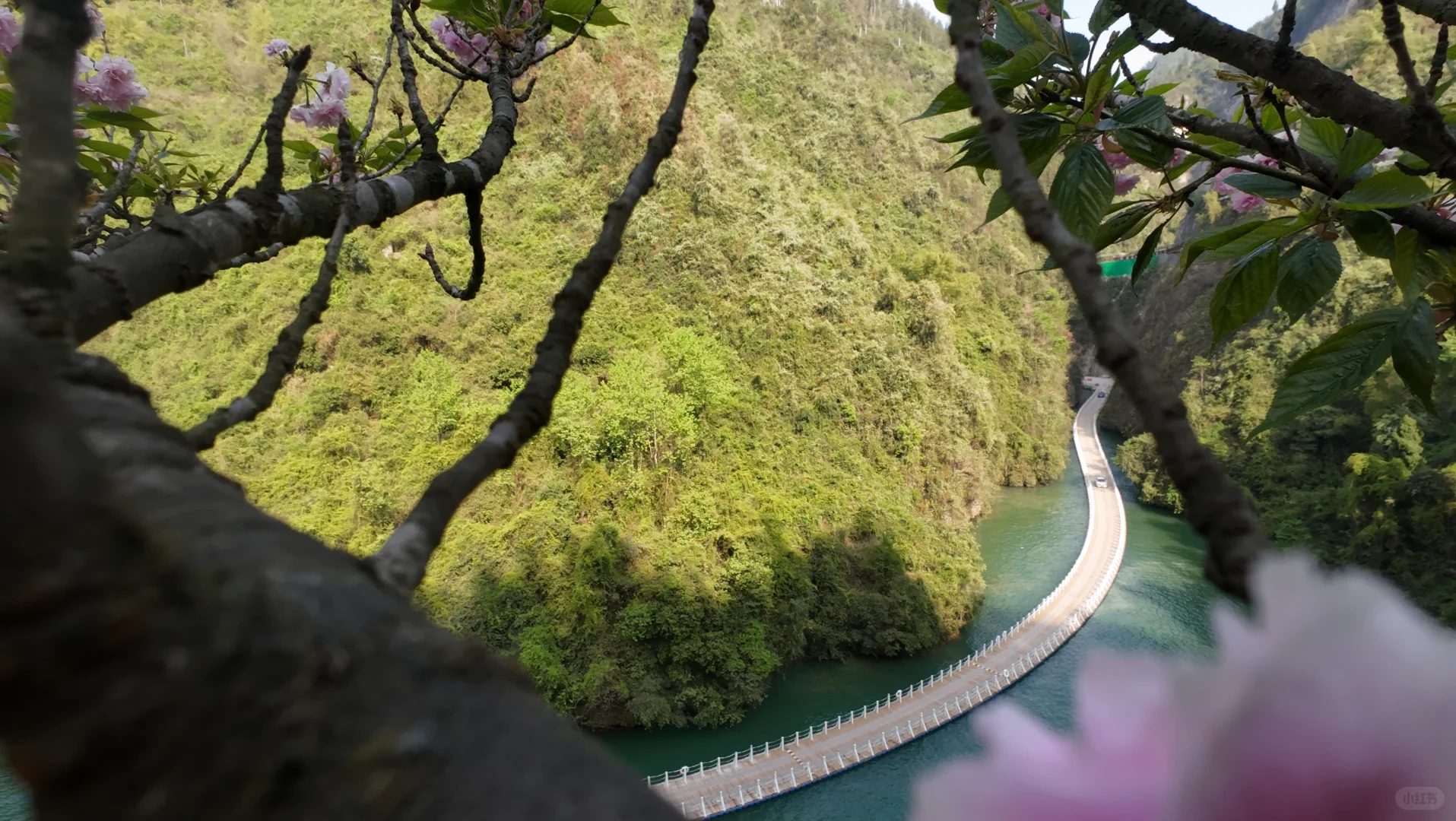 五一来恩施的宝子注意啦❗来之前一定要注意