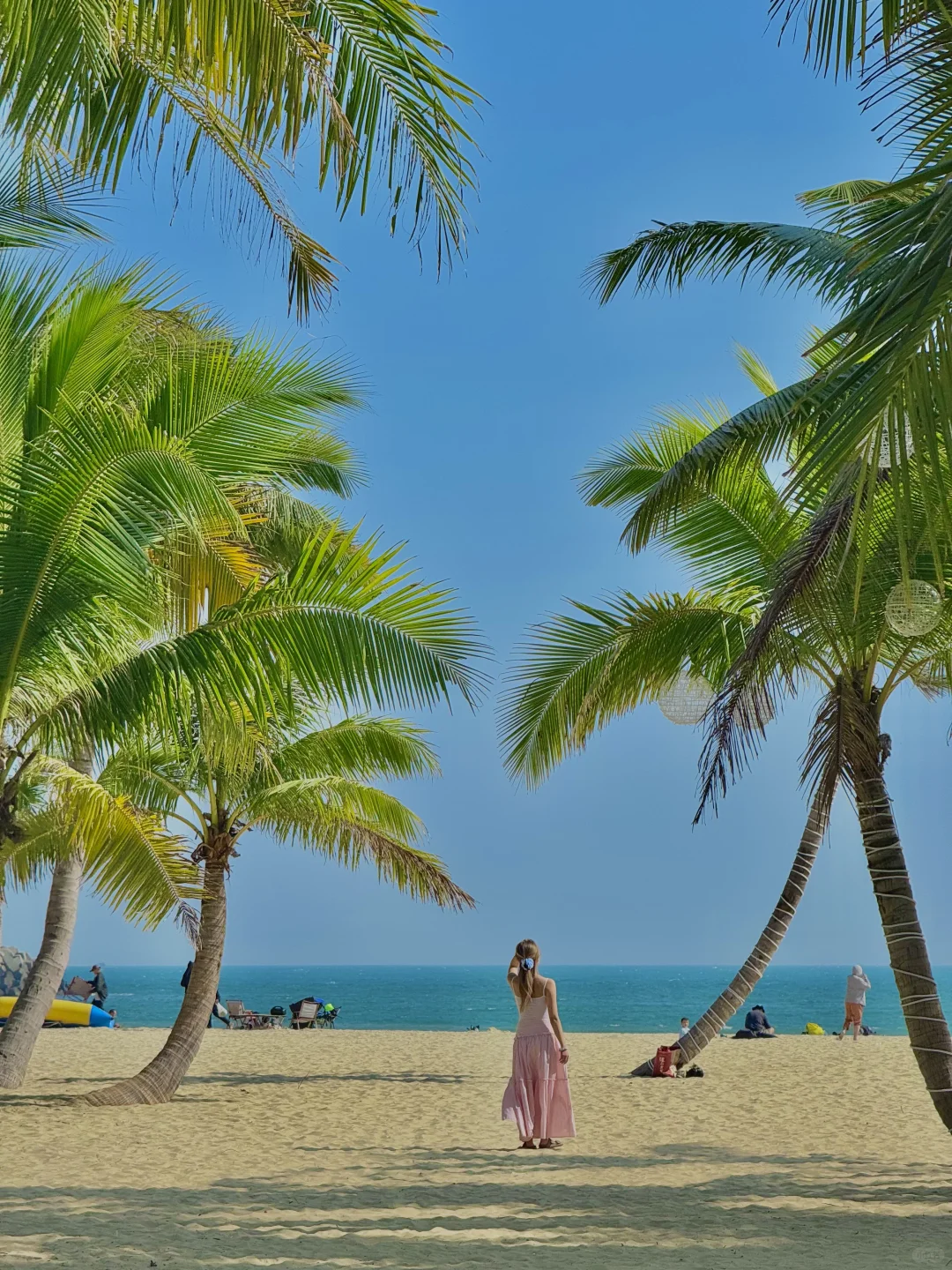 清水湾⛱️最佳打卡旅游路线攻略