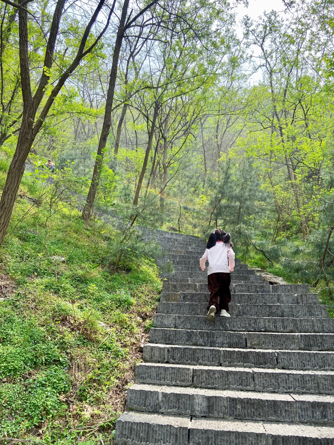 石家庄天然氧吧