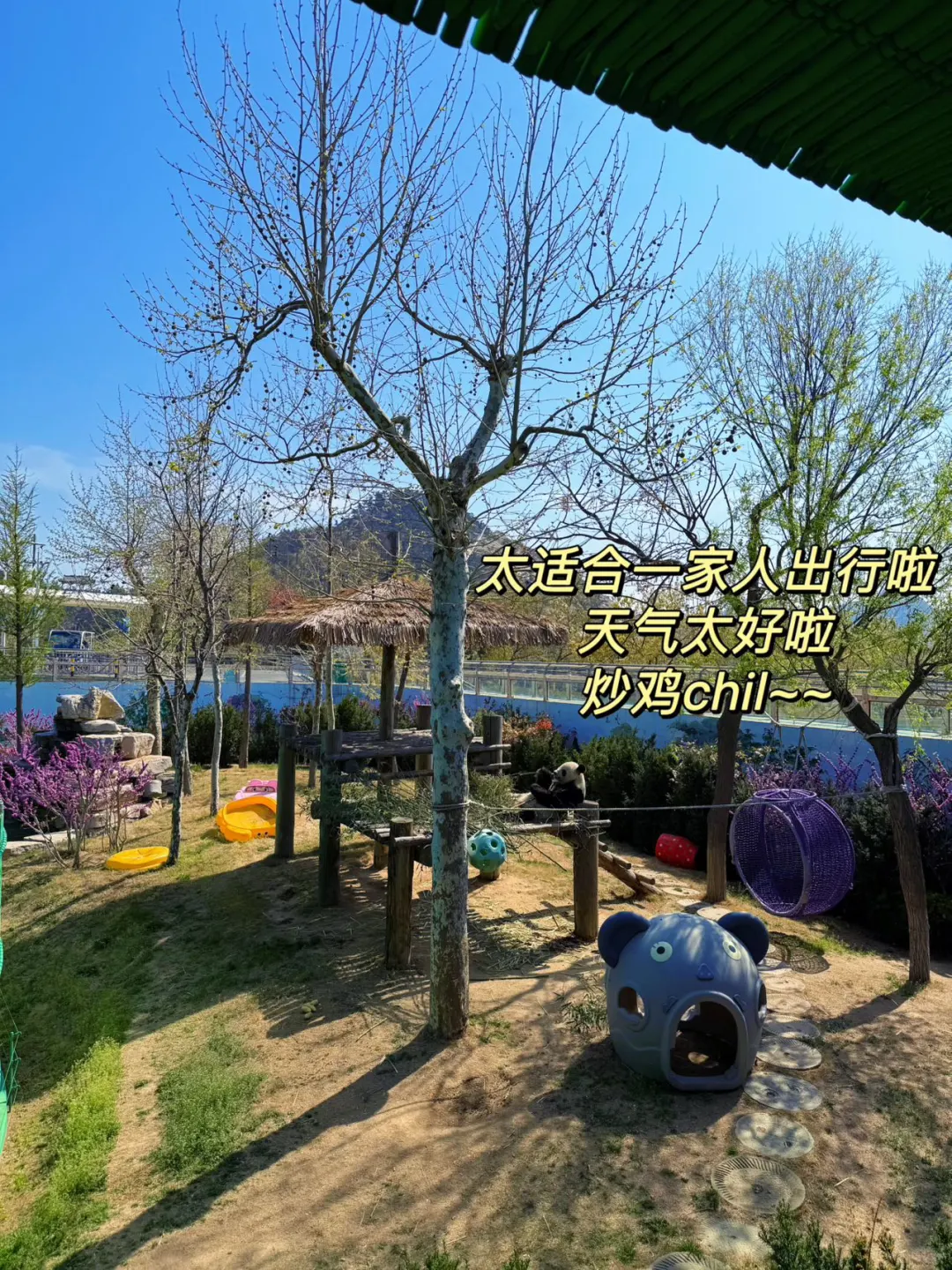 海驴岛&西霞口&成山头 | 宝藏海滨游五一✨