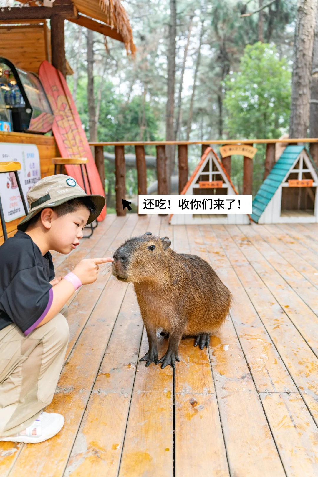 五一反向旅行｜带娃闯入热带雨林世界🌿