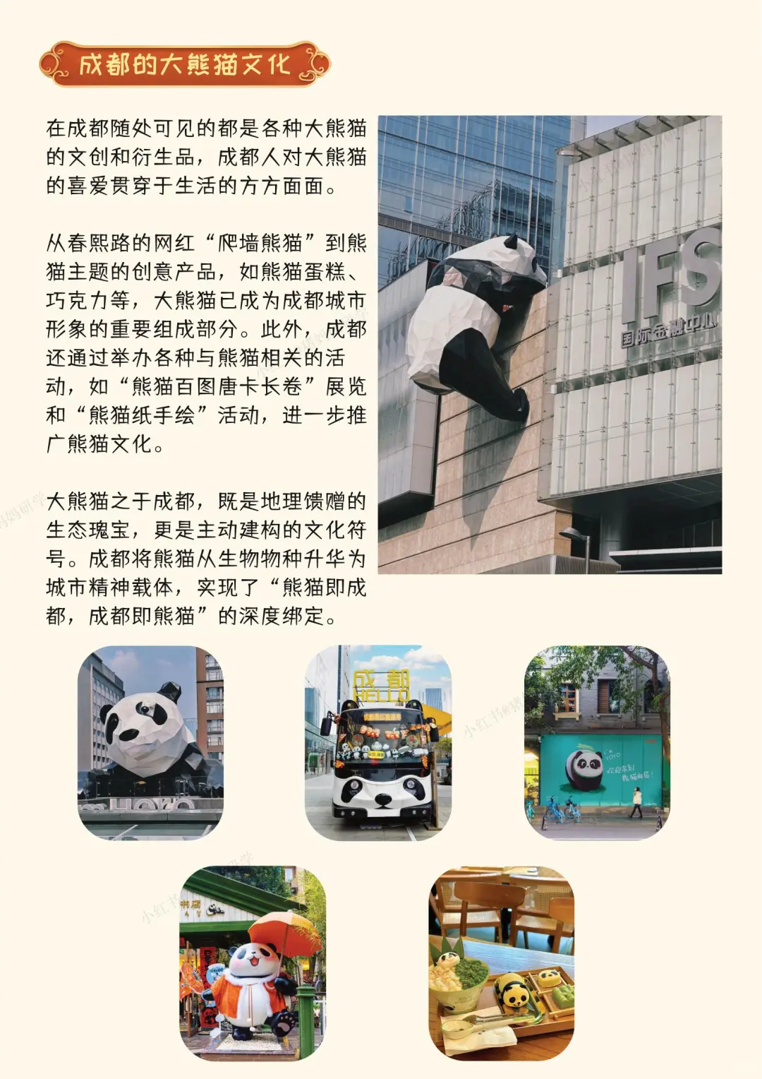 五一带娃来成都！不费妈攻略看这里！