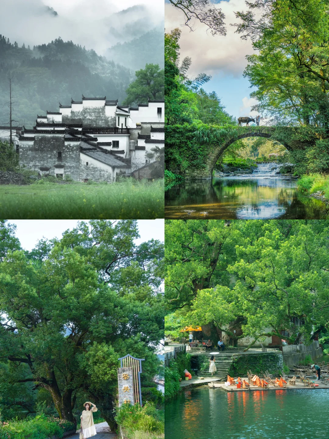 5月❗️淡季的婺源真的太香了（线路攻略）