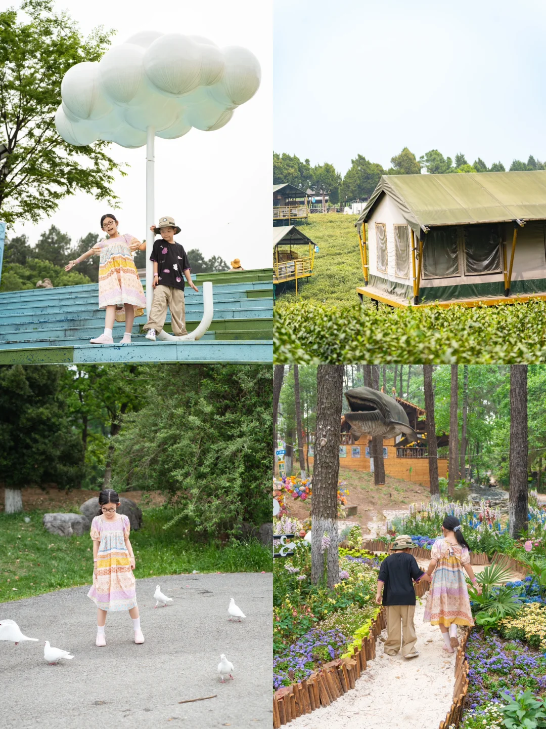 五一反向旅行｜带娃闯入热带雨林世界🌿