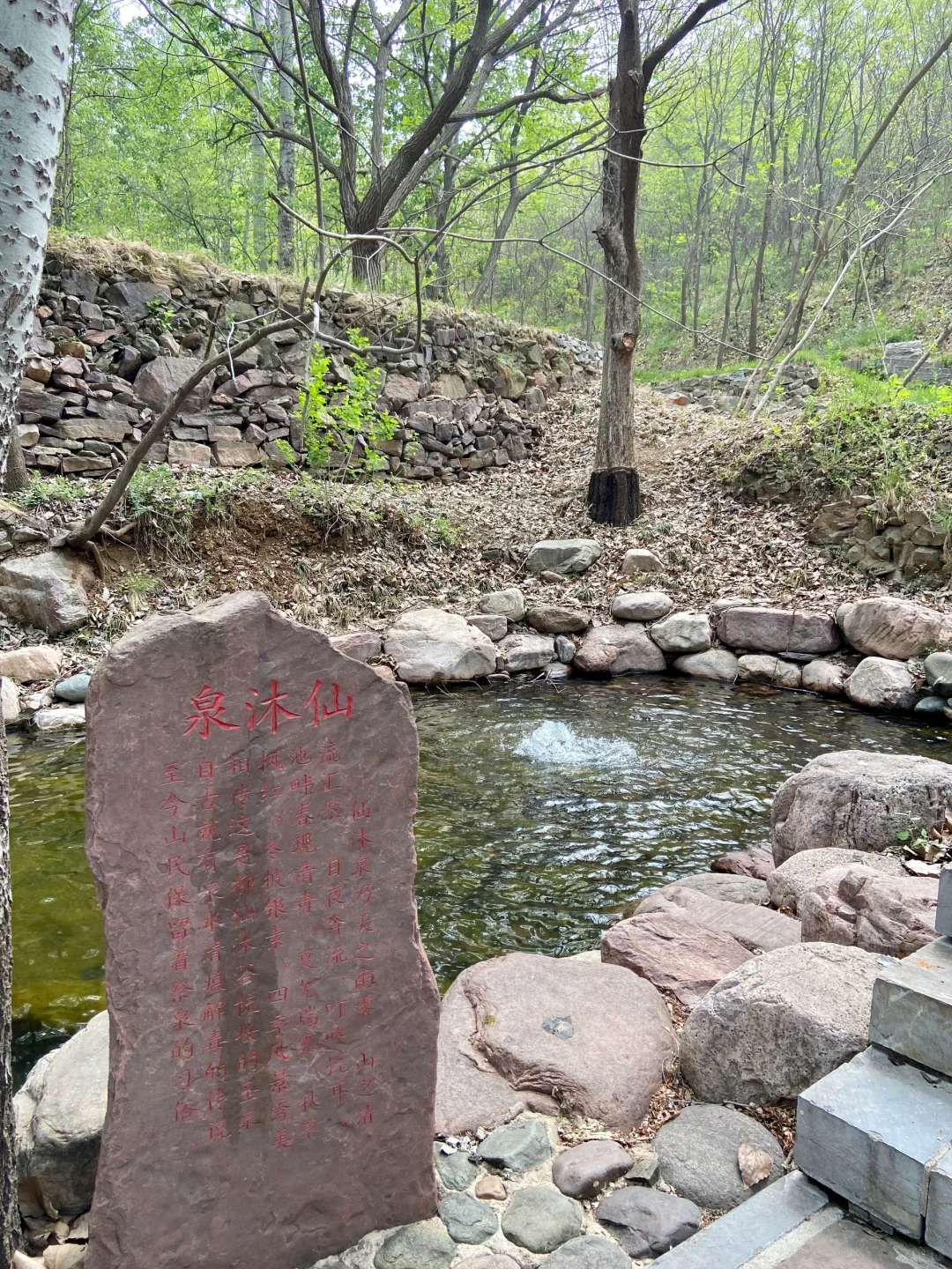 石家庄天然氧吧