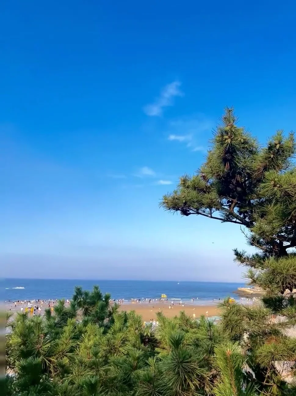 听劝👂4-5月来连云港的姐妹请🐴住❗