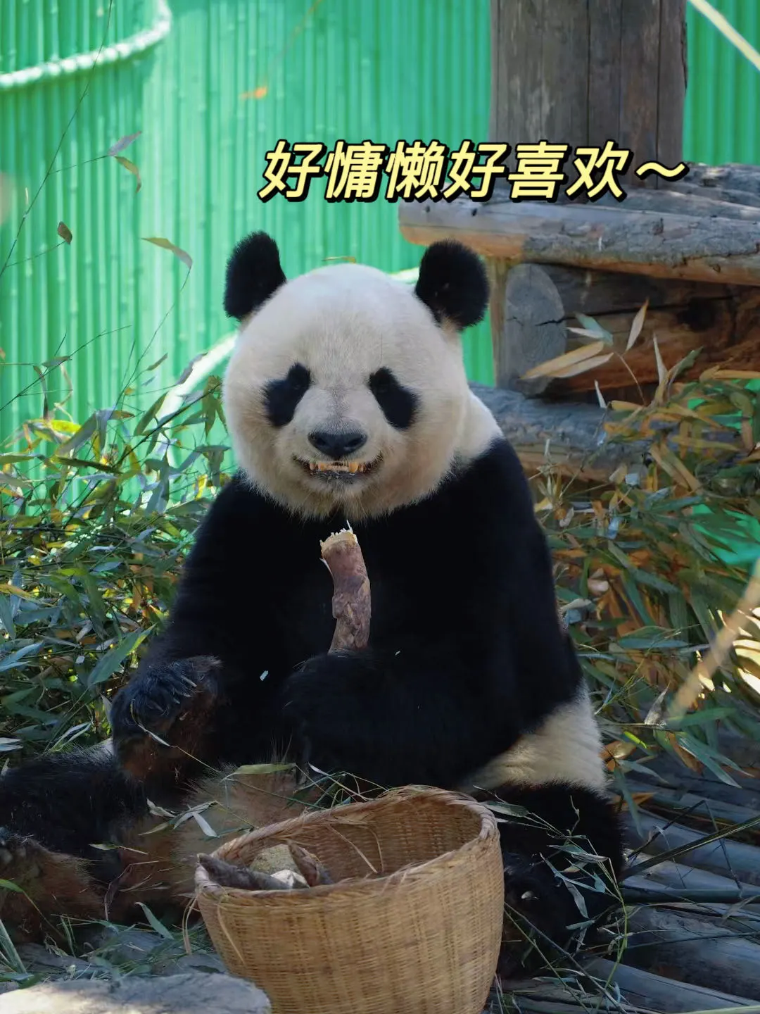 海驴岛&西霞口&成山头 | 宝藏海滨游五一✨