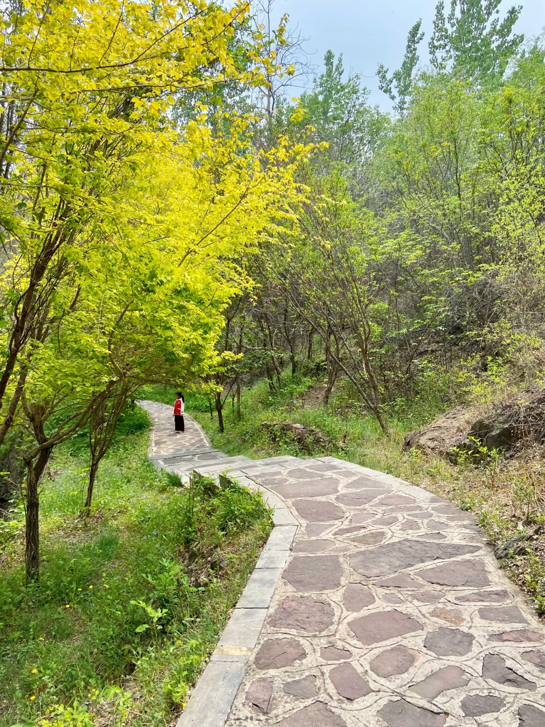 石家庄天然氧吧