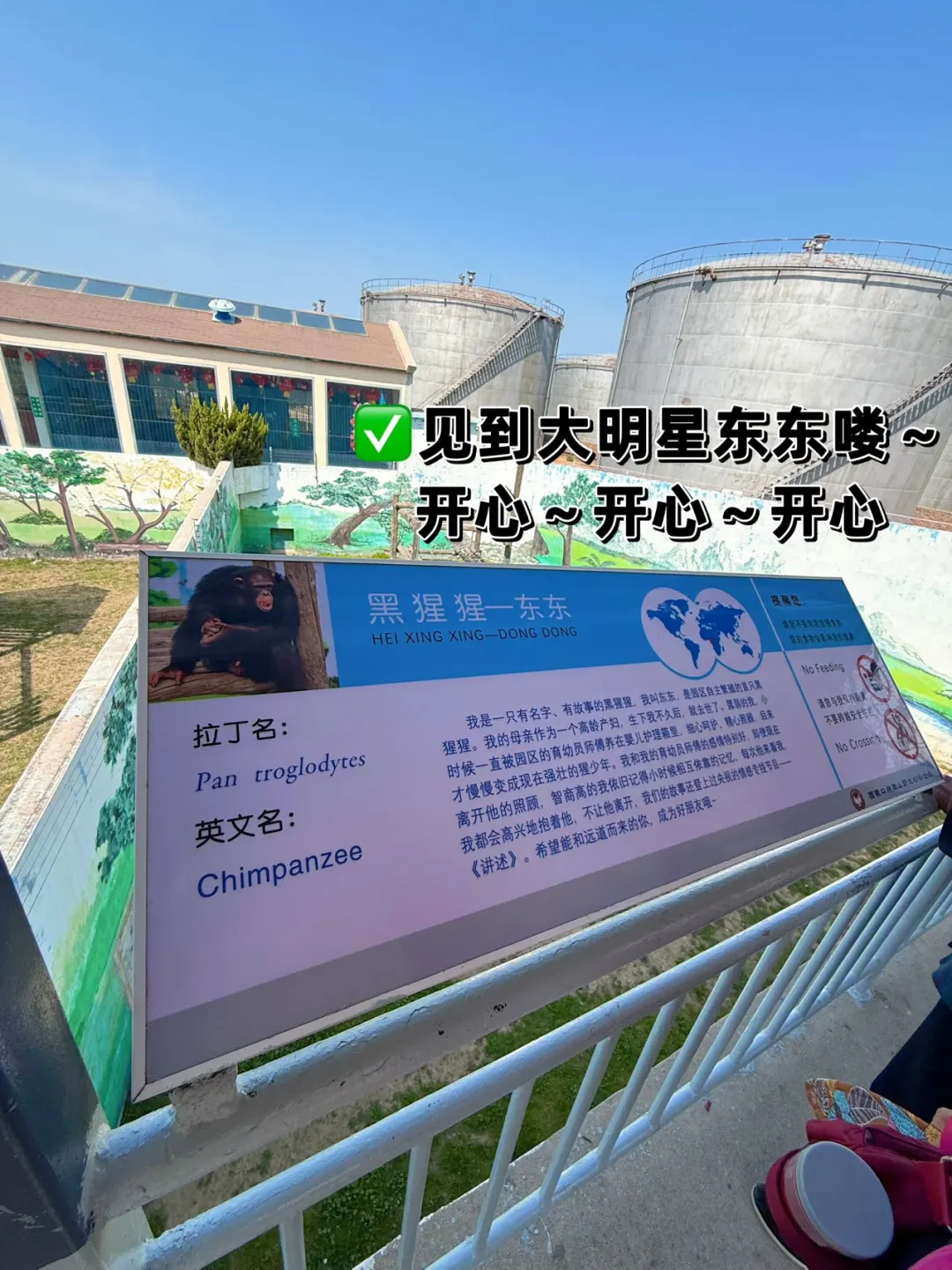 海驴岛&西霞口&成山头 | 宝藏海滨游五一✨