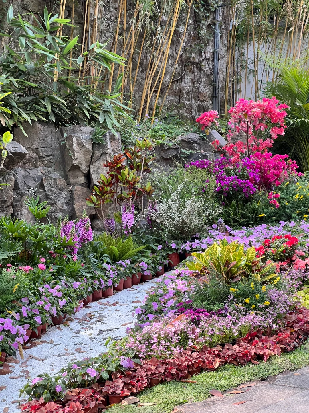 苏州虎丘风景区花朝节！保姆级攻略！！