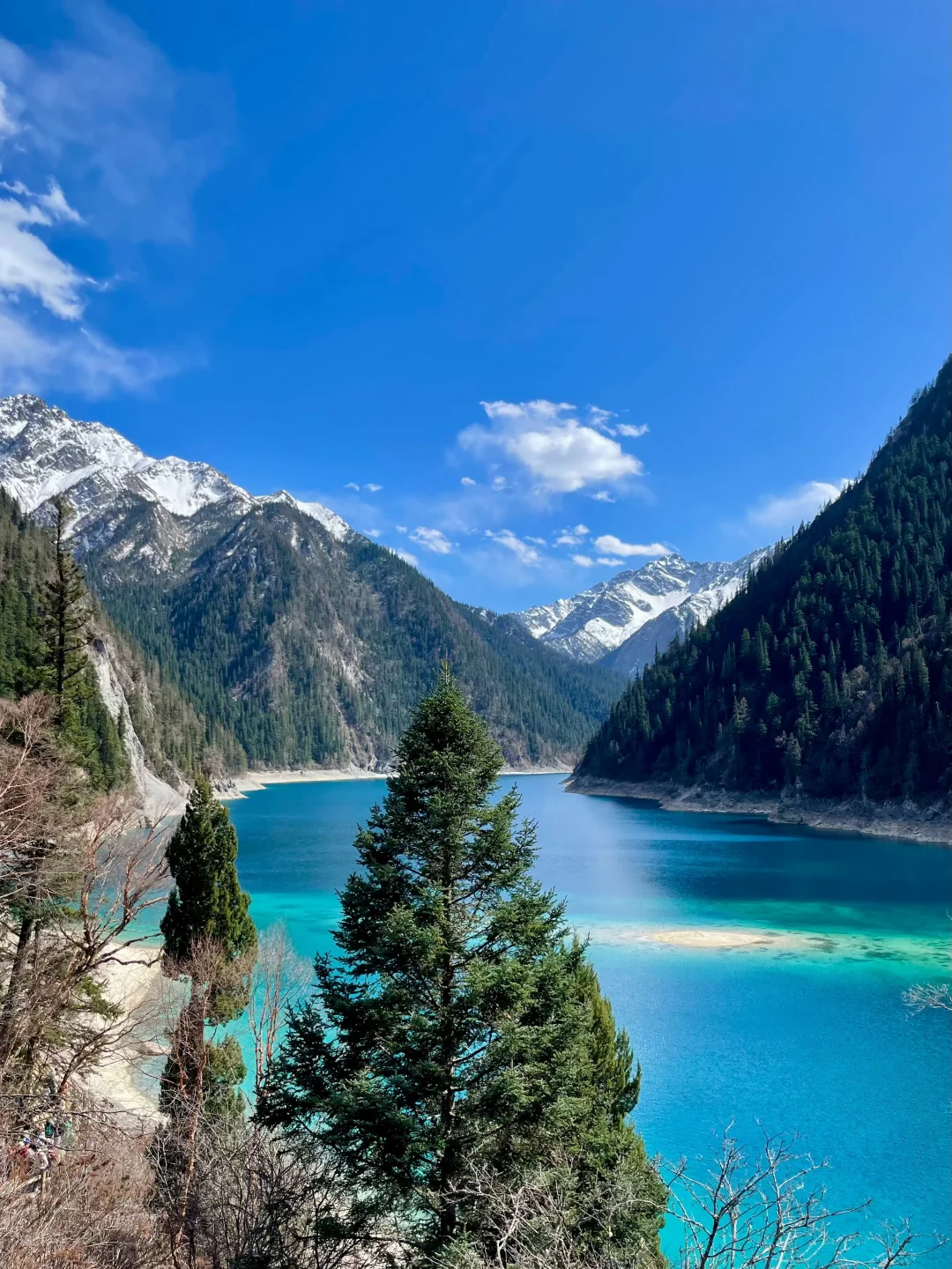 4.27📍九寨沟已回！累吐😅啦说点大实话