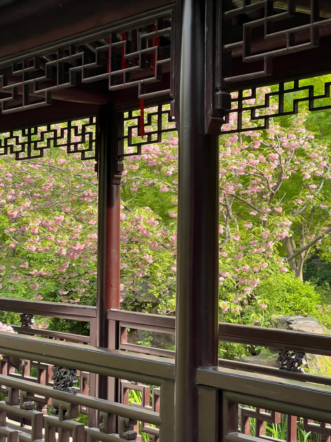 苏州虎丘风景区花朝节！保姆级攻略！！