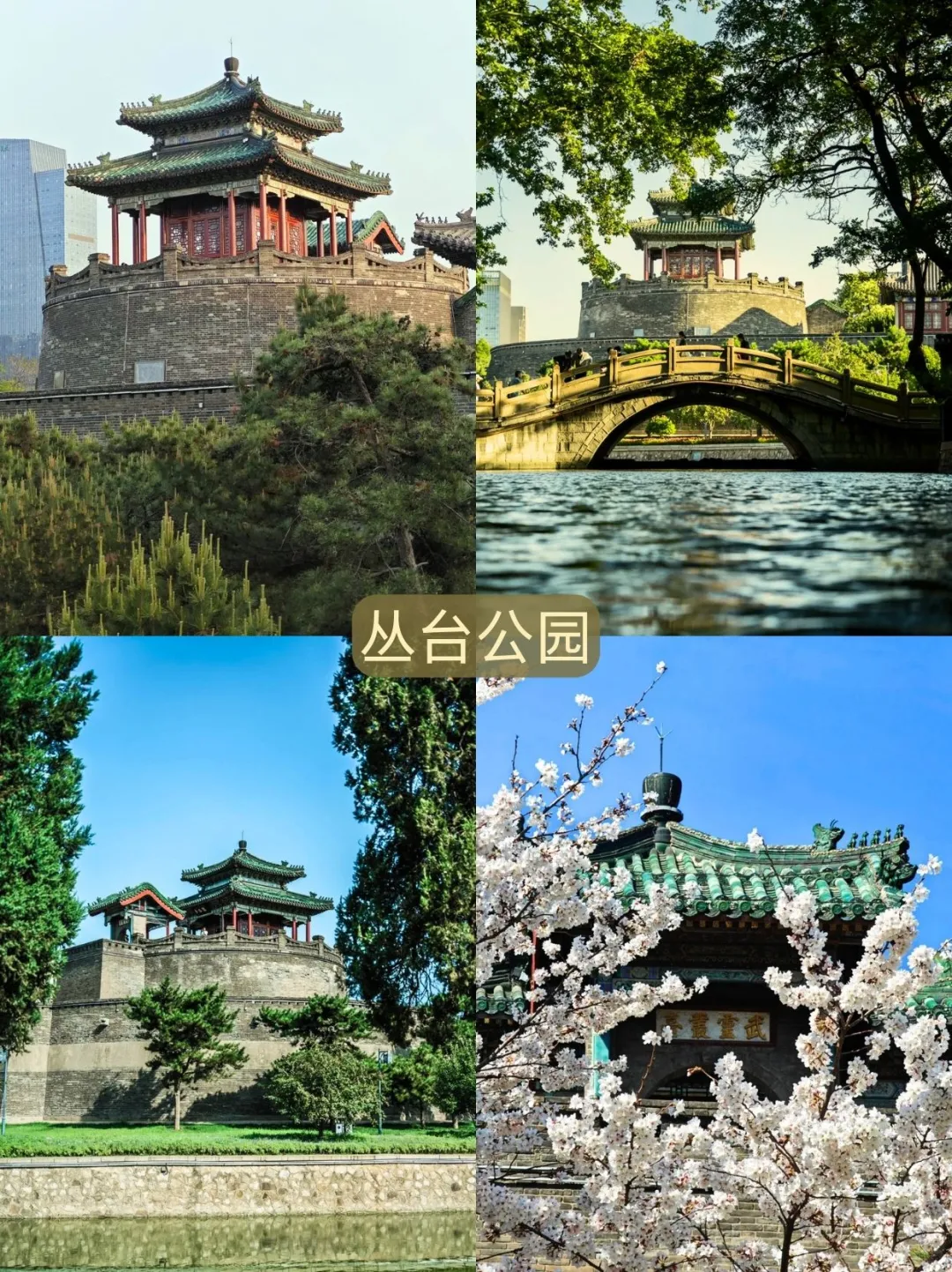 邯郸！我穿越成古代特种兵了！