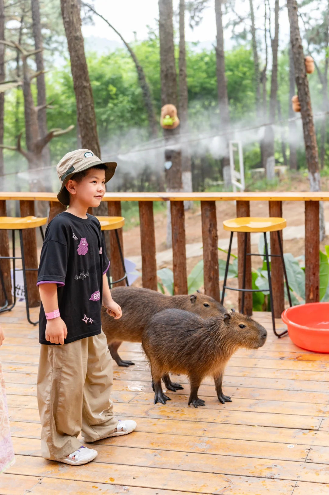 五一反向旅行｜带娃闯入热带雨林世界🌿