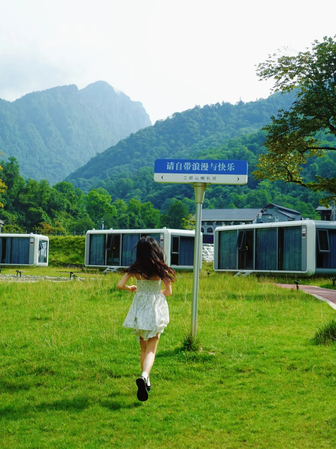 🌿在云端花海解锁春日治愈力🌿