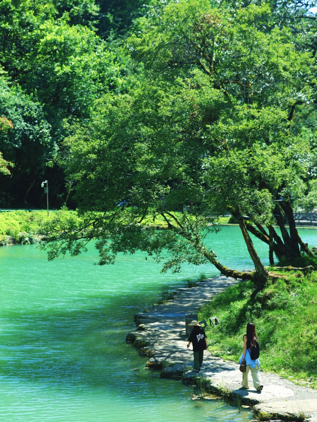 🌿在云端花海解锁春日治愈力🌿