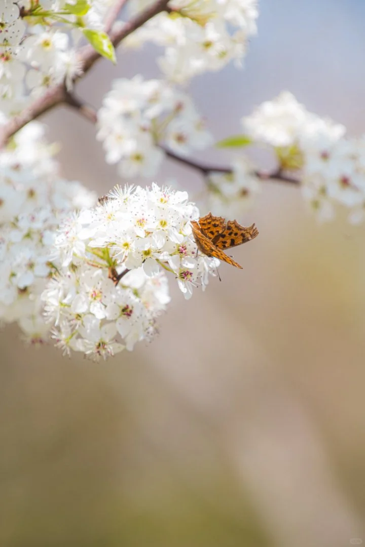 五一必去！茅山东方盐湖城撒欢指南🎉