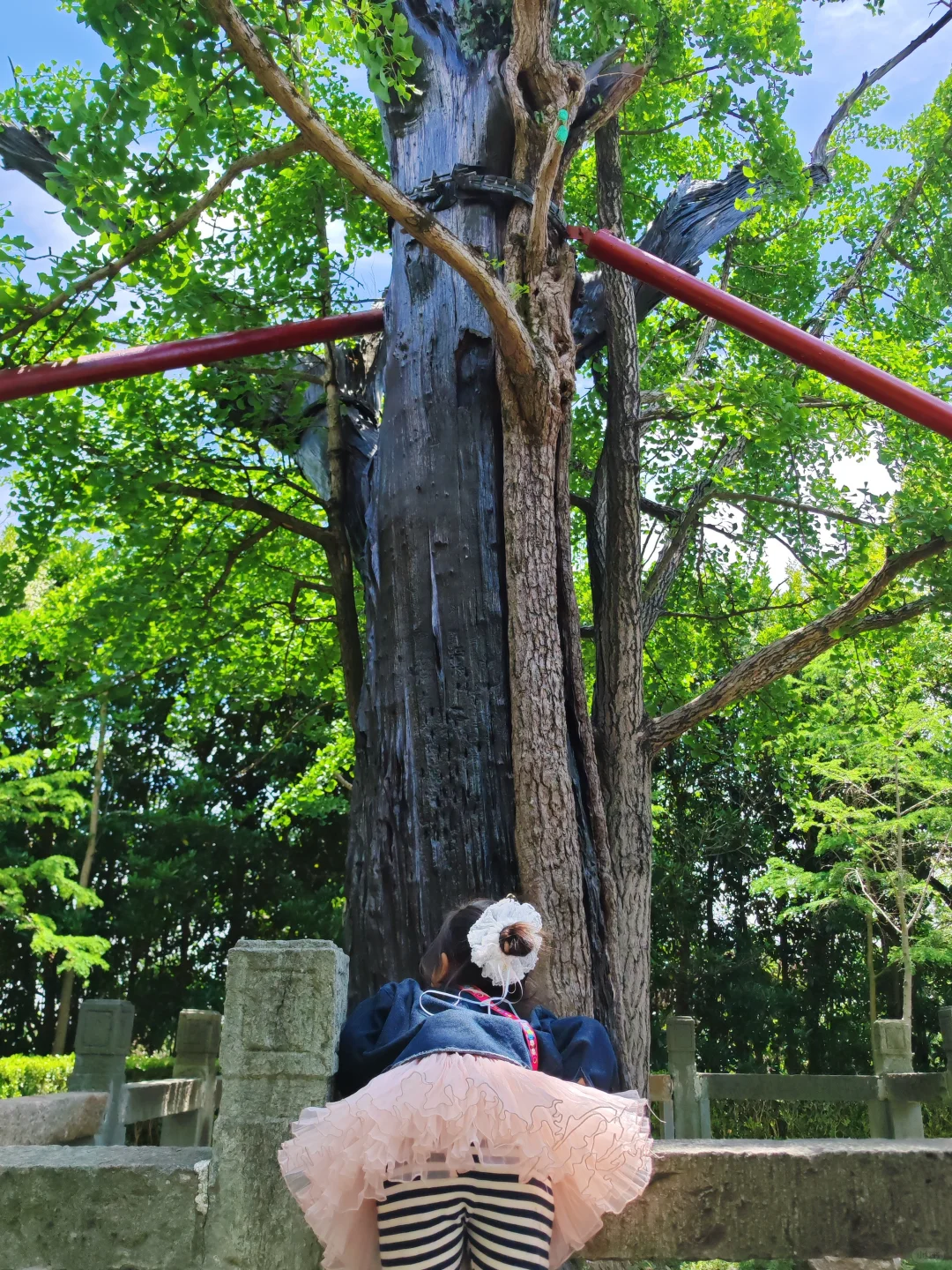 上海天马山亲子友好徒步：强烈推荐低幼宝宝