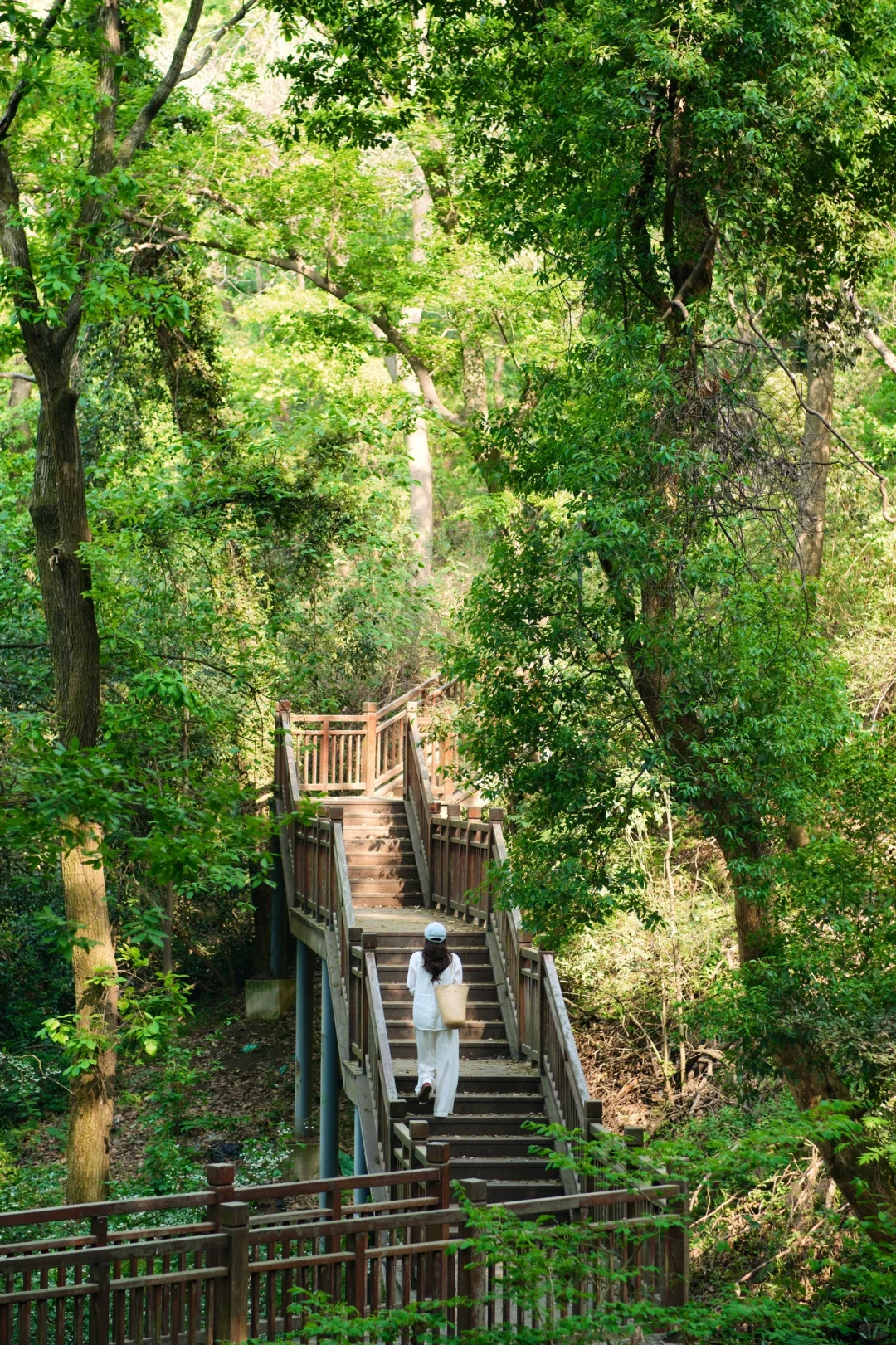 人生建议：没做攻略真的不要来武汉…😅😅