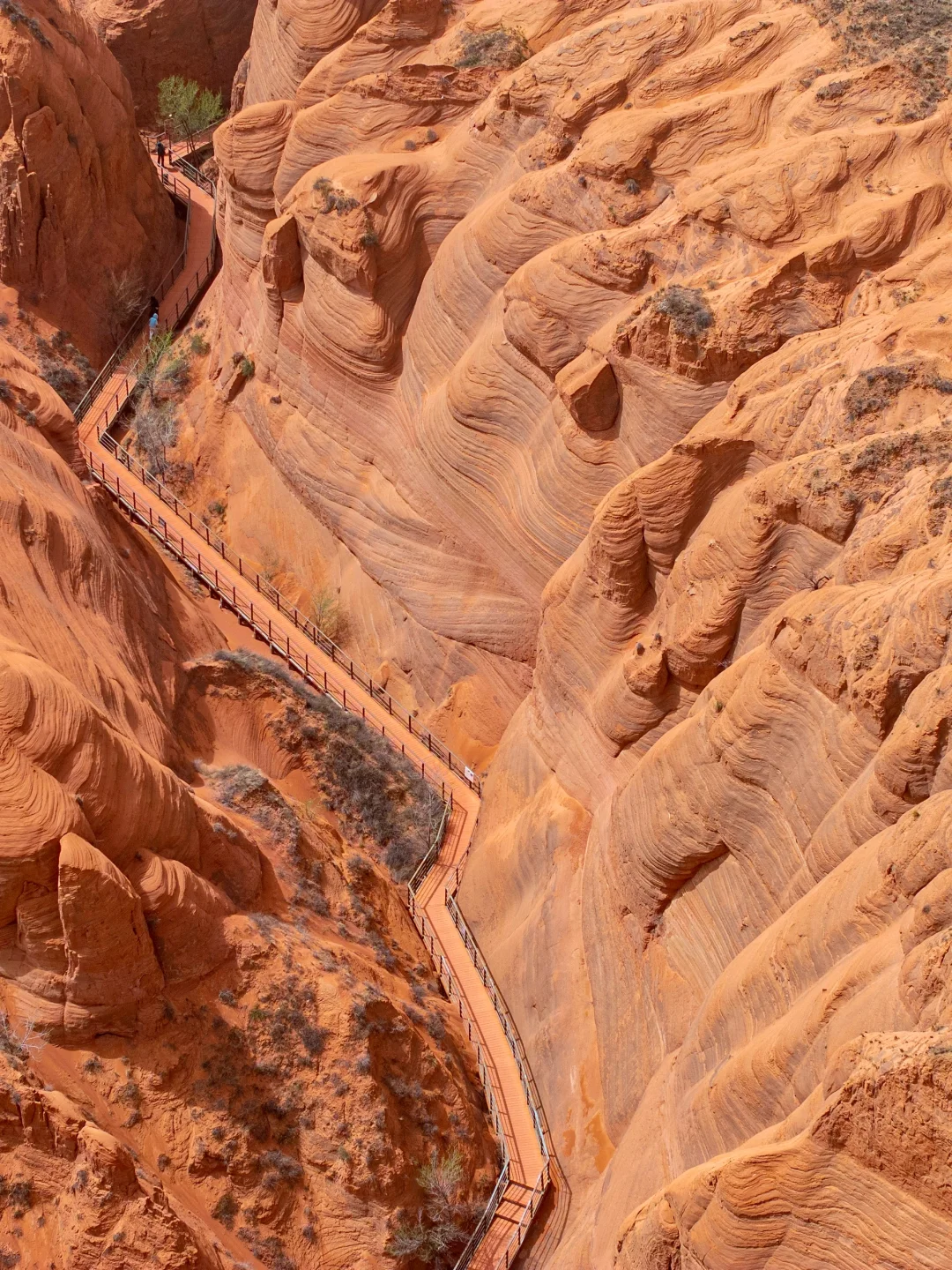 朋友圈问疯了！都以为我去了美国…🤣