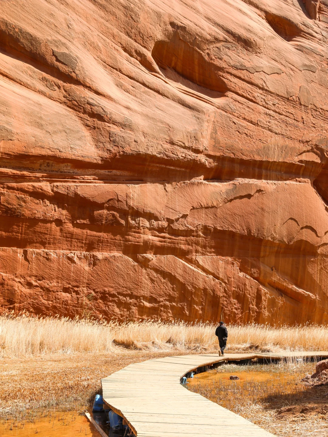 朋友圈问疯了！都以为我去了美国…🤣