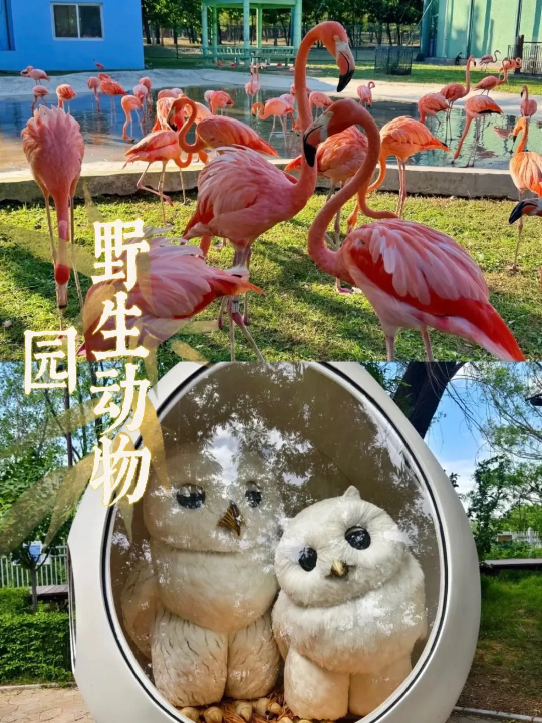 🏞河北冷门旅行清单！这4个小众景点藏不住了