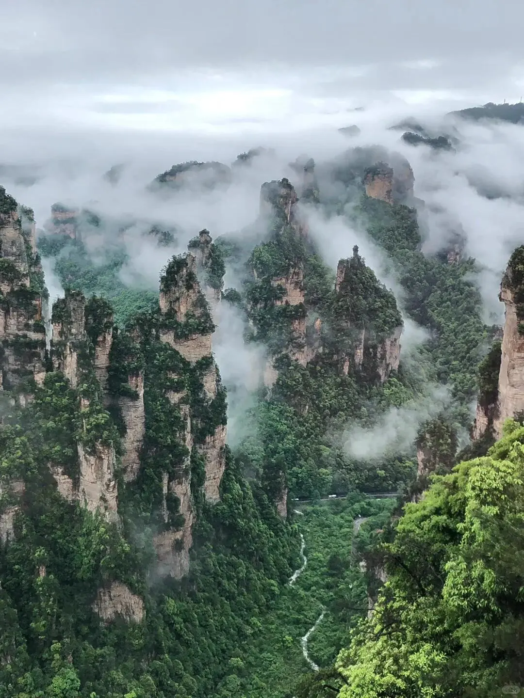 蓝天碧绿的九寨沟,太美了