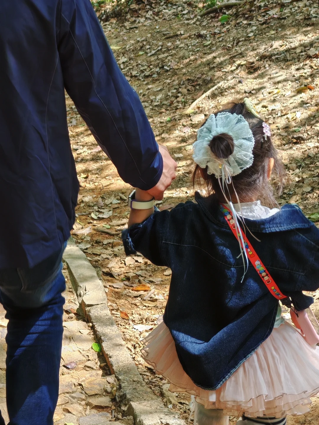 上海天马山亲子友好徒步：强烈推荐低幼宝宝