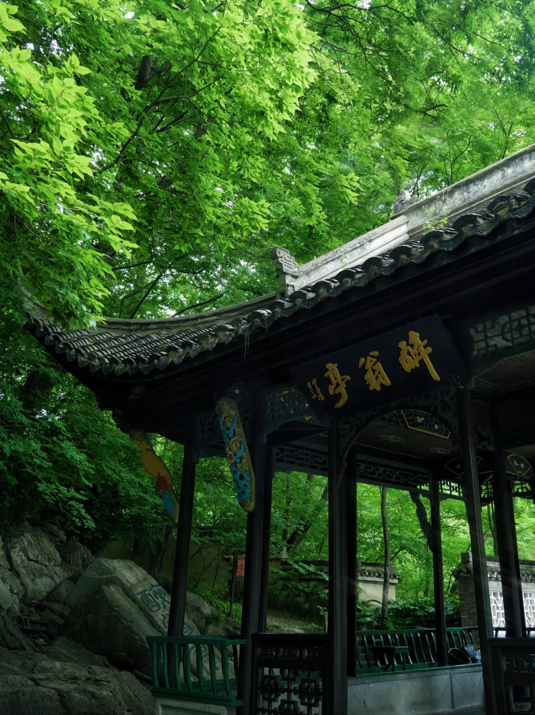 别在南京人挤人了！滁州溯溪玩水一日游‼️