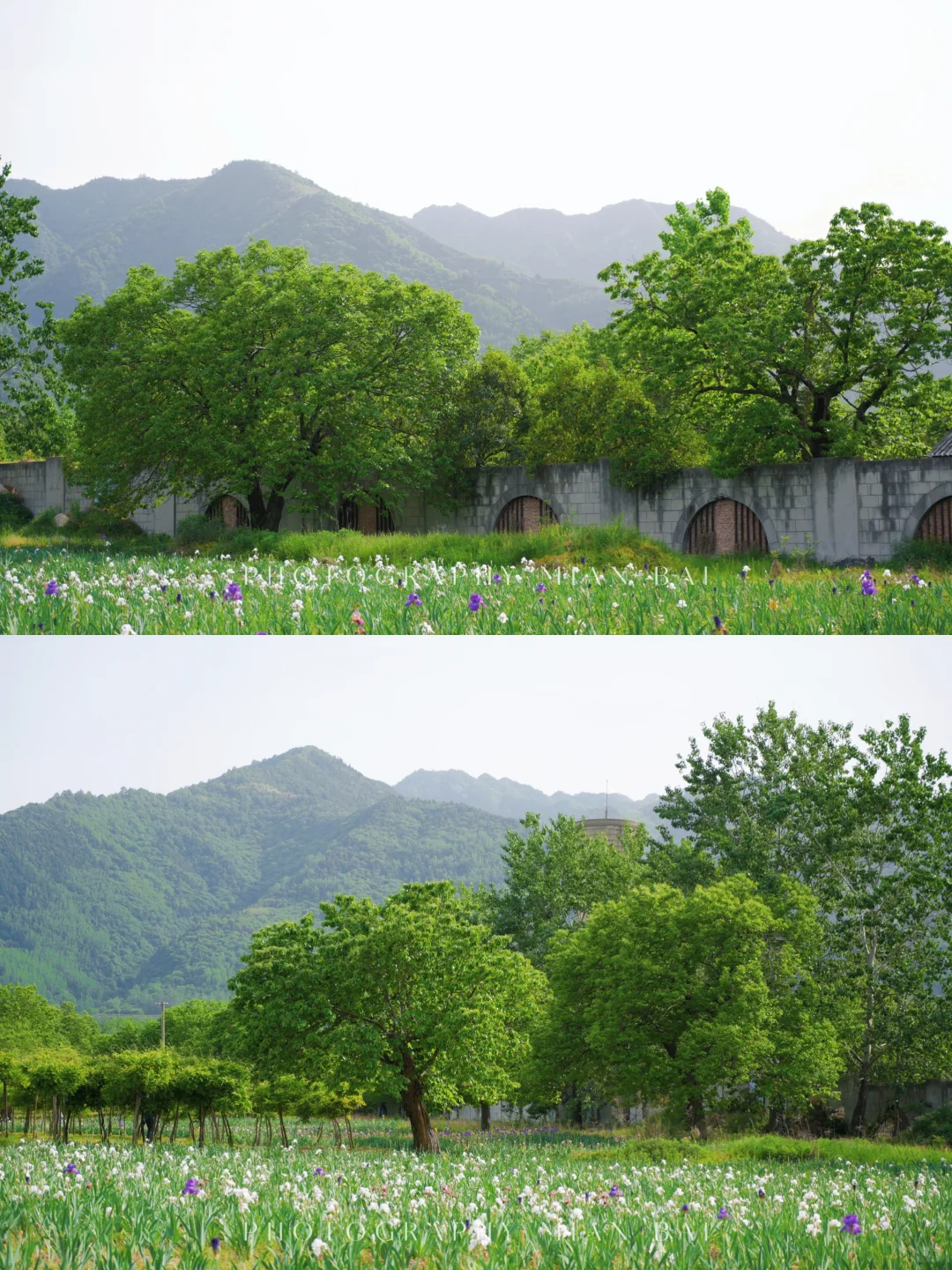 西安地铁直达,避开人群承包一座山的春天~