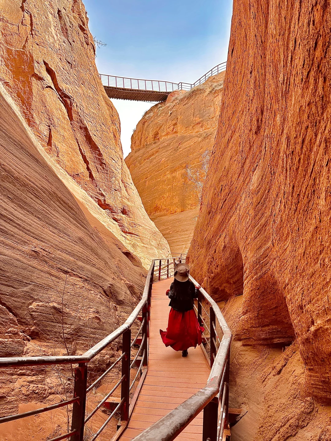 朋友圈问疯了！都以为我去了美国…🤣